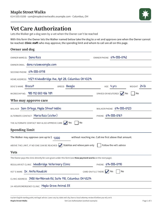 Page 1, filled example: owner, dog and who may approve care