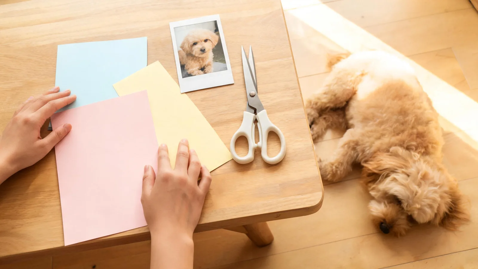 Illustrative image: hands arranging blank colored paper and a photo print on a craft table, a dog lying nearby.